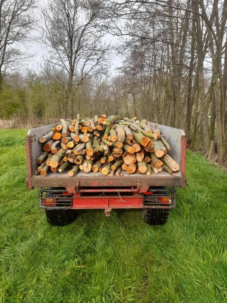 Haardhout, Tuin en Terras, Haardhout, 3 tot 6 m³, Ophalen of Verzenden