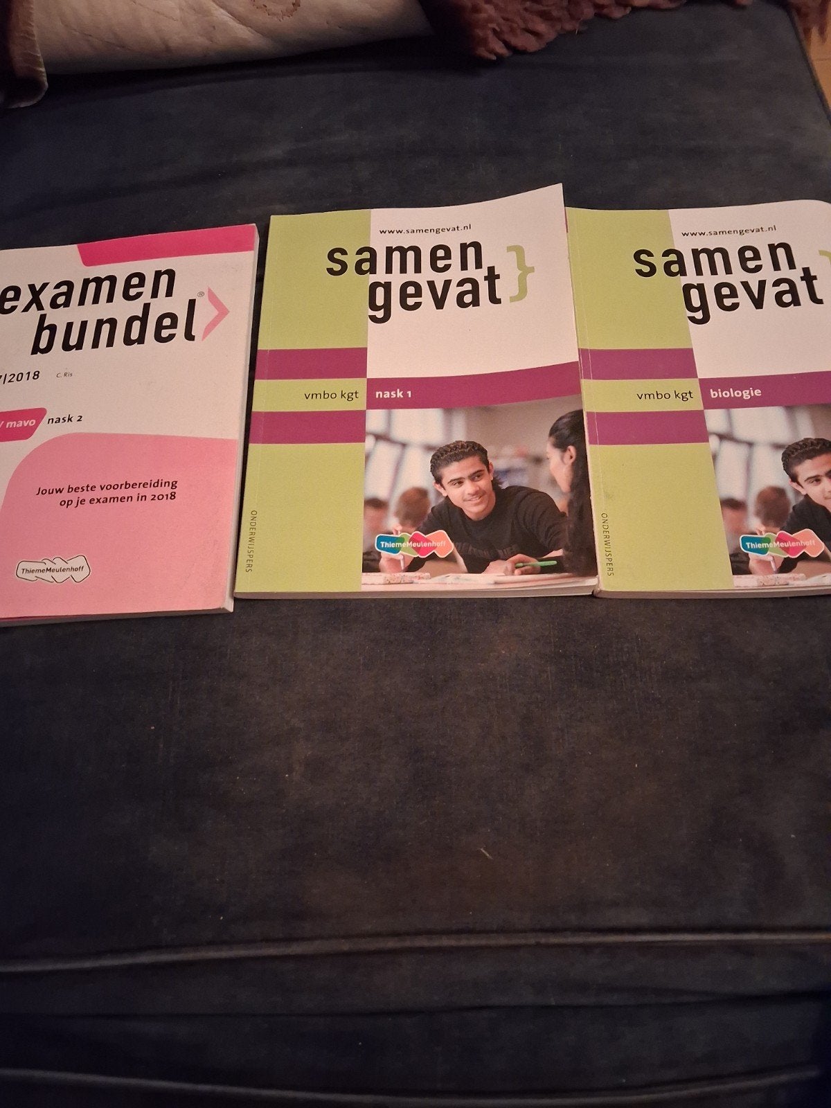Samengevat vmbo kgt Biologie, Nask 1 en Examenbundel Nask 2, Boeken, Biologie, ThiemeMeulenhoff, Ophalen of Verzenden, Gelezen