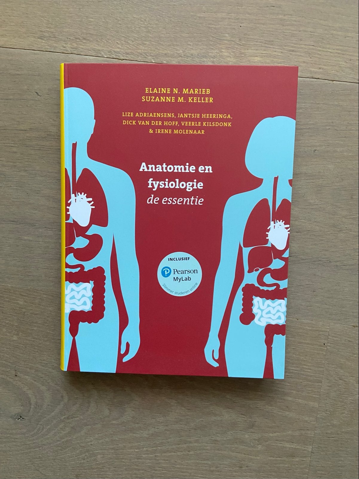 Anatomie en Fysiologie de Essentie - Elaine N. Marieb, Verzenden, Beta, Zo goed als nieuw, HBO