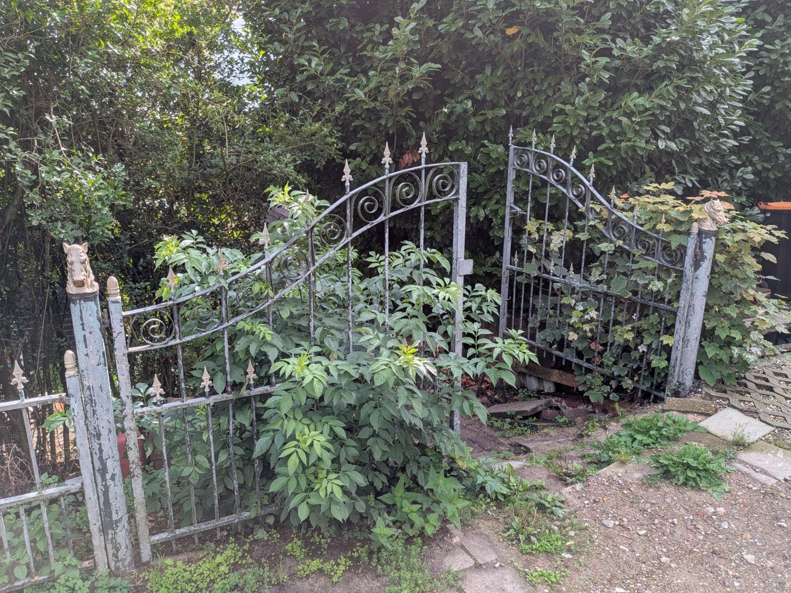 Oud ijzeren sierhekwerk met poort, Tuin en Terras, Ophalen, Met poort, Gebruikt, Sierhekwerk