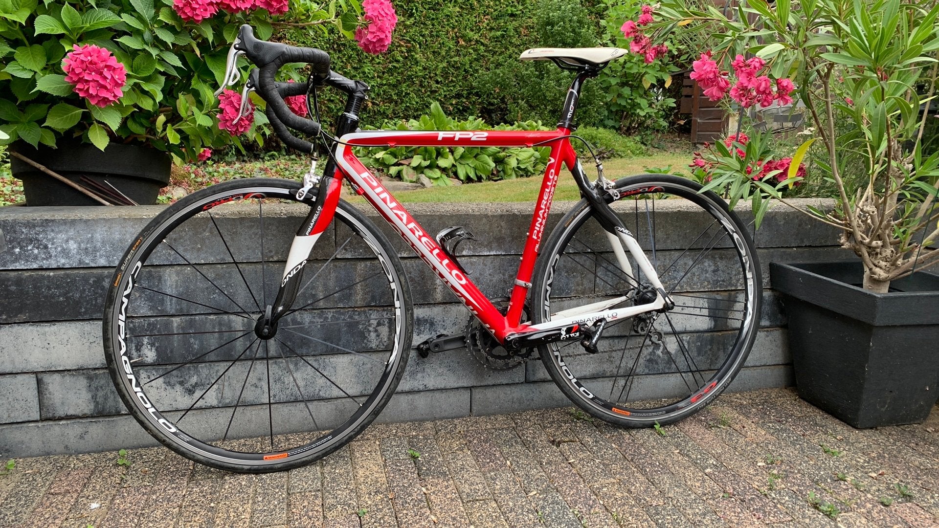 Pinarello racefiets, Gebruikt, 15 tot 20 versnellingen, 53 tot 57 cm, Ophalen