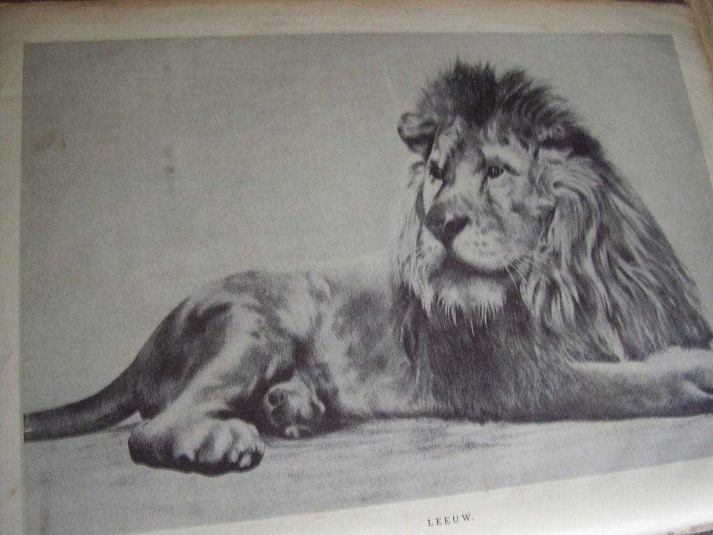 Boek  'De dierenwereld in woord en in beeld', Ophalen of Verzenden, Gelezen, AUG. F.W. Vogt