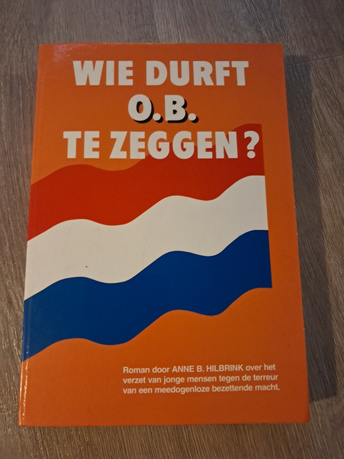 D: Wie durft O.B. te zeggen? - Roman Anne B. Hilbrink, Ophalen of Verzenden, Gelezen, Anne B. Hilbrink, Nederland
