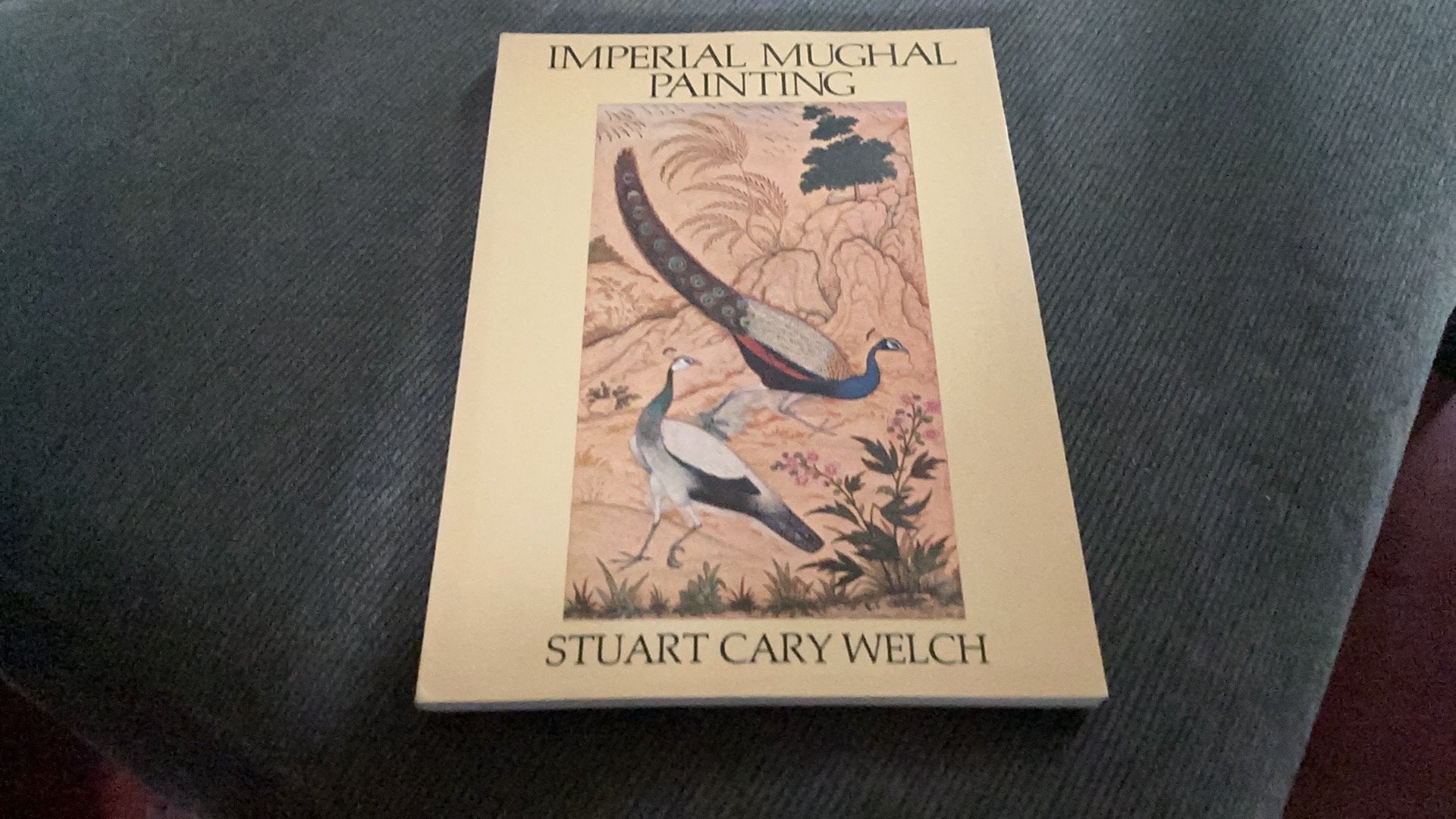 Imperial Mughal Painting, Ophalen of Verzenden, Zo goed als nieuw, Schilder- en Tekenkunst