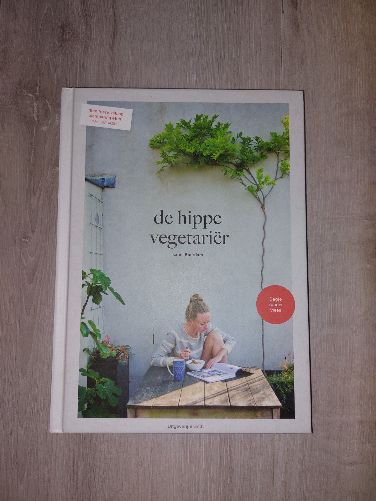 De Hippe Vegetariër - Isabel Boerdam (Kookboek), Boeken, Isabel Boerdam, Gezond koken, Ophalen of Verzenden, Zo goed als nieuw