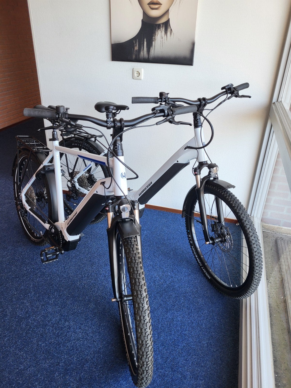 Winora Yucatan 12 E- bike Fh 54 & Fh 60  In Perfecte Staat!, Zo goed als nieuw, 51 tot 55 cm, 50 km per accu of meer, Ophalen
