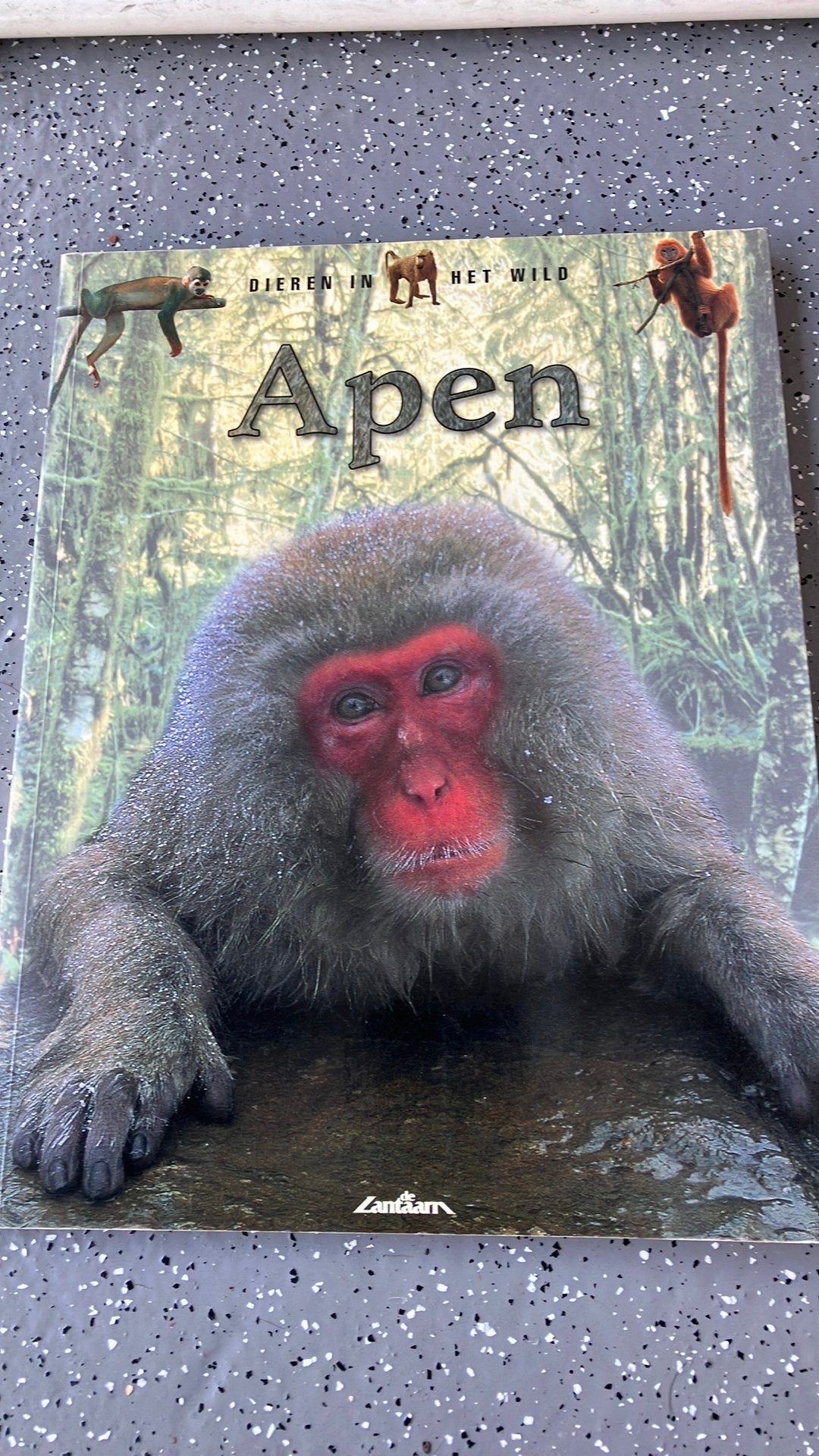 Apen, Ophalen of Verzenden, Zo goed als nieuw
