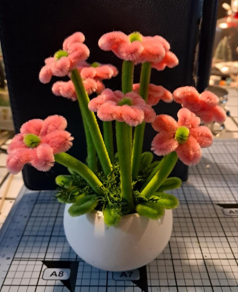 Verschillende bloemen, Ophalen of Verzenden