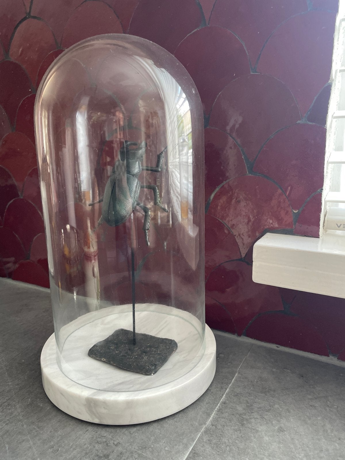 Decoratieve Kever onder Glazen Stolp op Marmeren Voet, Ophalen