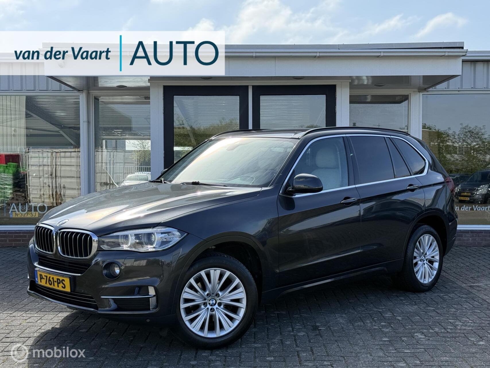 BMW X5 sDrive25d High Executive / Leder / Xenon / Navigatie, Achterwielaandrijving, 4 cilinders, 241 €/maand, Bedrijf