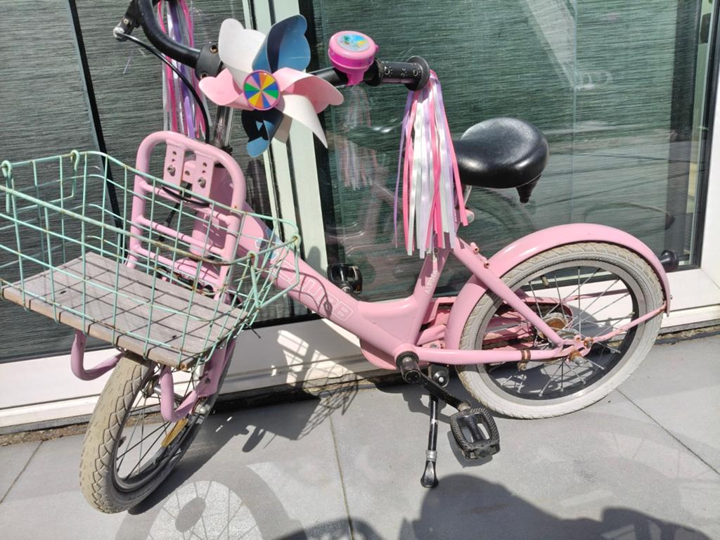 16 inch Alpina club roze fiets meisje kinderfiets, Ophalen, Gebruikt, Terugtraprem, 16 inch