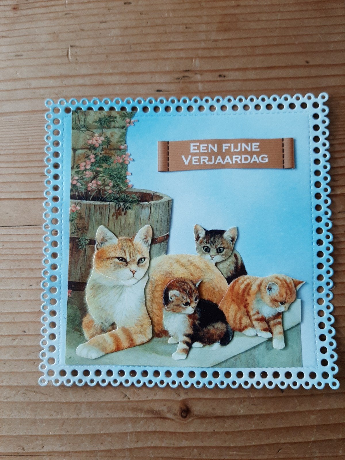 stans kaart opleg met 3d plaatje katjes, Ophalen of Verzenden, Nieuw, Overige thema's