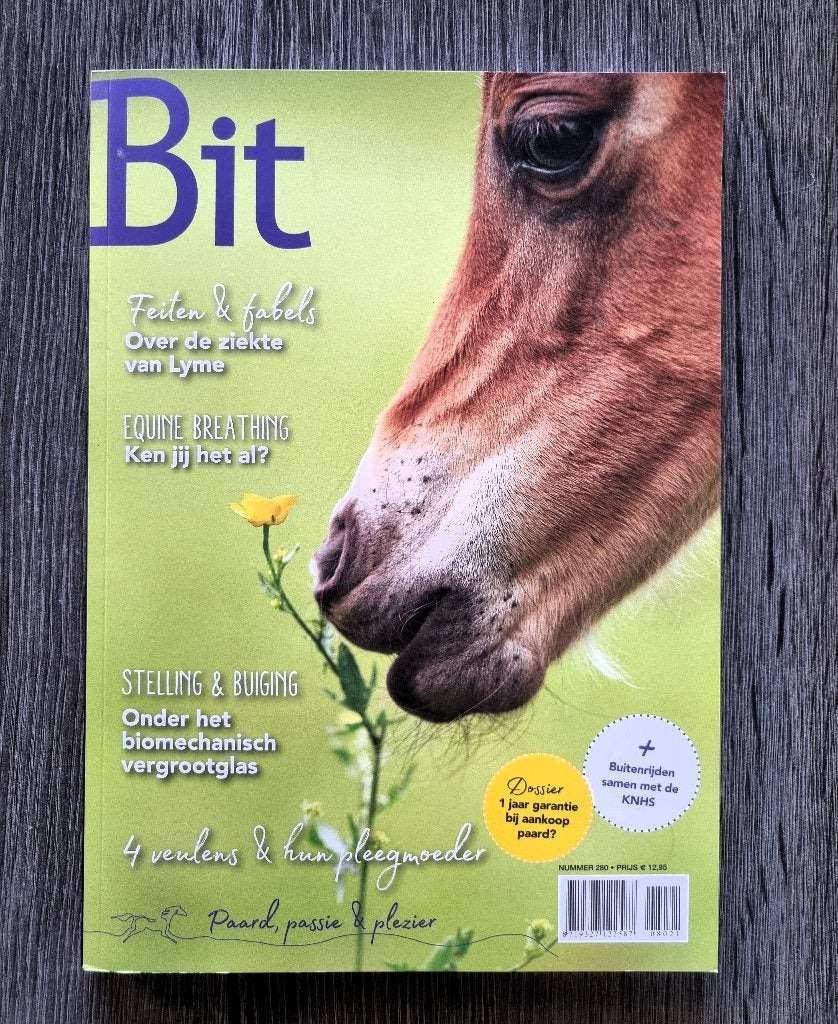 Bit Paard, Passie & Plezier Magazine - Nummer 280, Diverse auteurs, Ophalen of Verzenden, Zo goed als nieuw, Paarden of Pony's