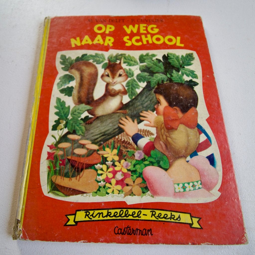 Op weg naar school, Boeken, Kinderboeken | Jeugd | onder 10 jaar, Gelezen, Non-fictie, Ophalen of Verzenden, M van Delft