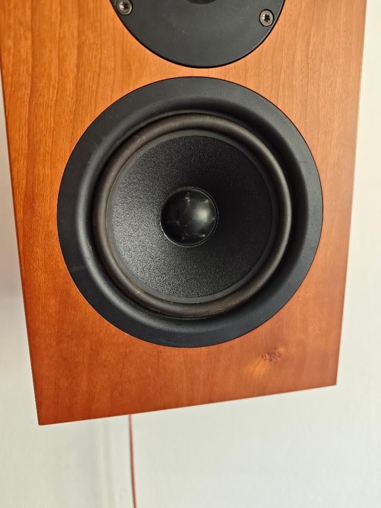 Woofer Linn Tukan ea SPKR 016/2, Audio, Tv en Foto, Luidsprekers, Overige merken, Gebruikt, Ophalen of Verzenden, Minder dan 60 watt