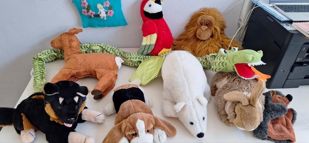 knuffelset: groot:draak, papegaai, ijsbeer, honden, hert, aa, Ophalen of Verzenden, Zo goed als nieuw, Overige typen
