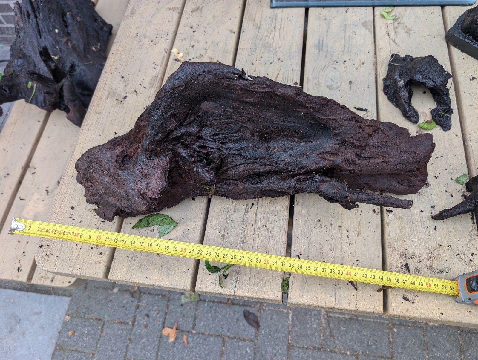 Kienhout aquarium te koop 52 cm lang 25 cm hoog, Ophalen, Zo goed als nieuw, Plant(en), Steen of Hout