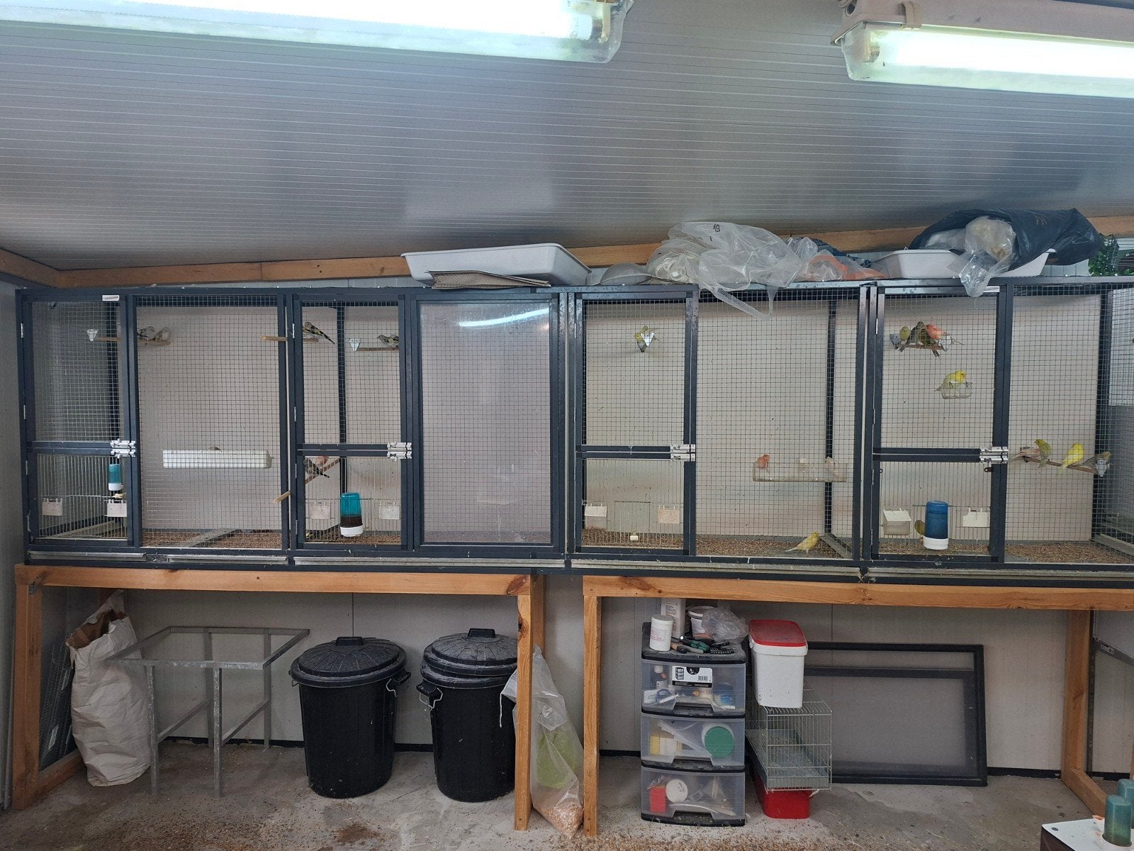 kweekvlucht aluminium antraciet voliere, Dieren en Toebehoren, Vogels | Hokken en Kooien, Ophalen