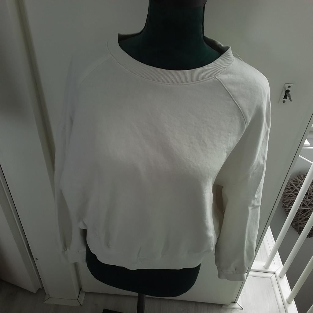 Sweater, Ophalen of Verzenden, Gedragen, Beige