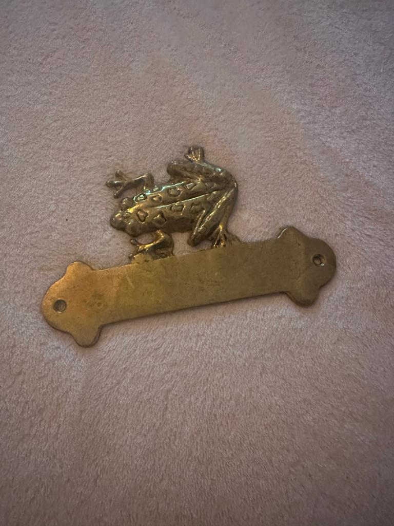 Vintage Messing Naambordje Kikker - Voordeur/Brievenbus, Ophalen of Verzenden