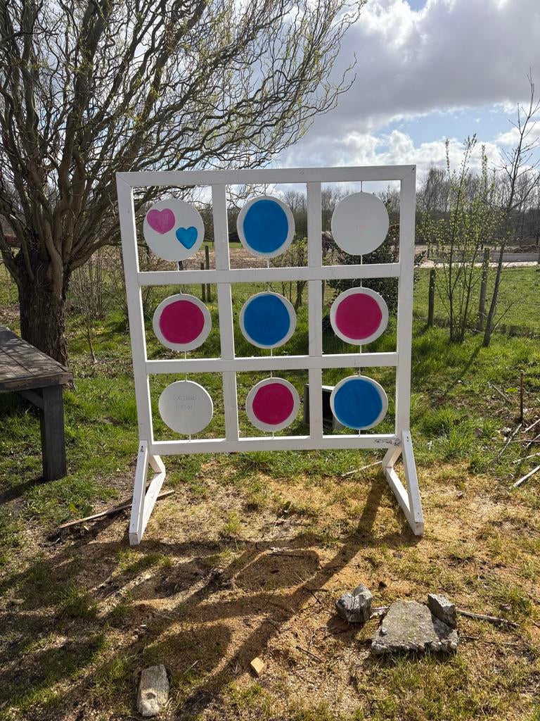 Gender reveal bord!, Hobby en Vrije tijd, Feestartikelen, Ophalen of Verzenden, Gebruikt, Versiering, Geboorte of Huwelijk
