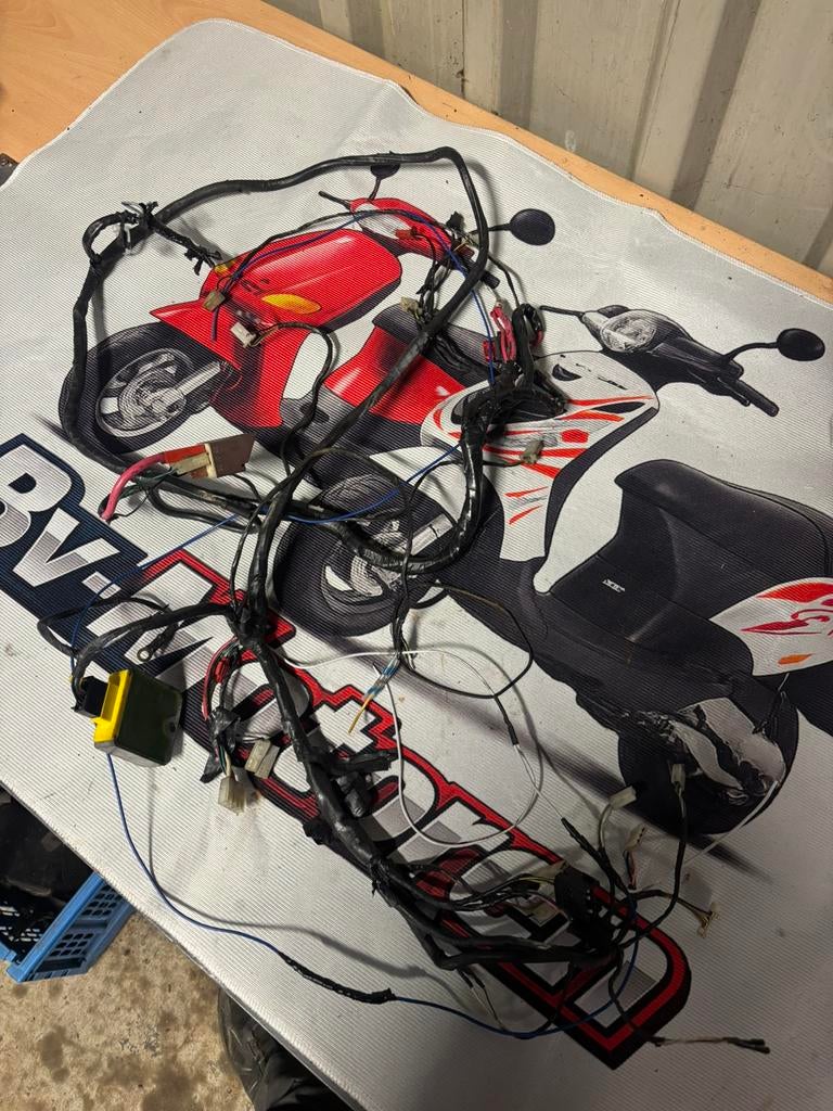 Zip 4takt boom voor 125cc 2takt, Antiek en Kunst, Kunst | Litho's en Zeefdrukken, Ophalen of Verzenden