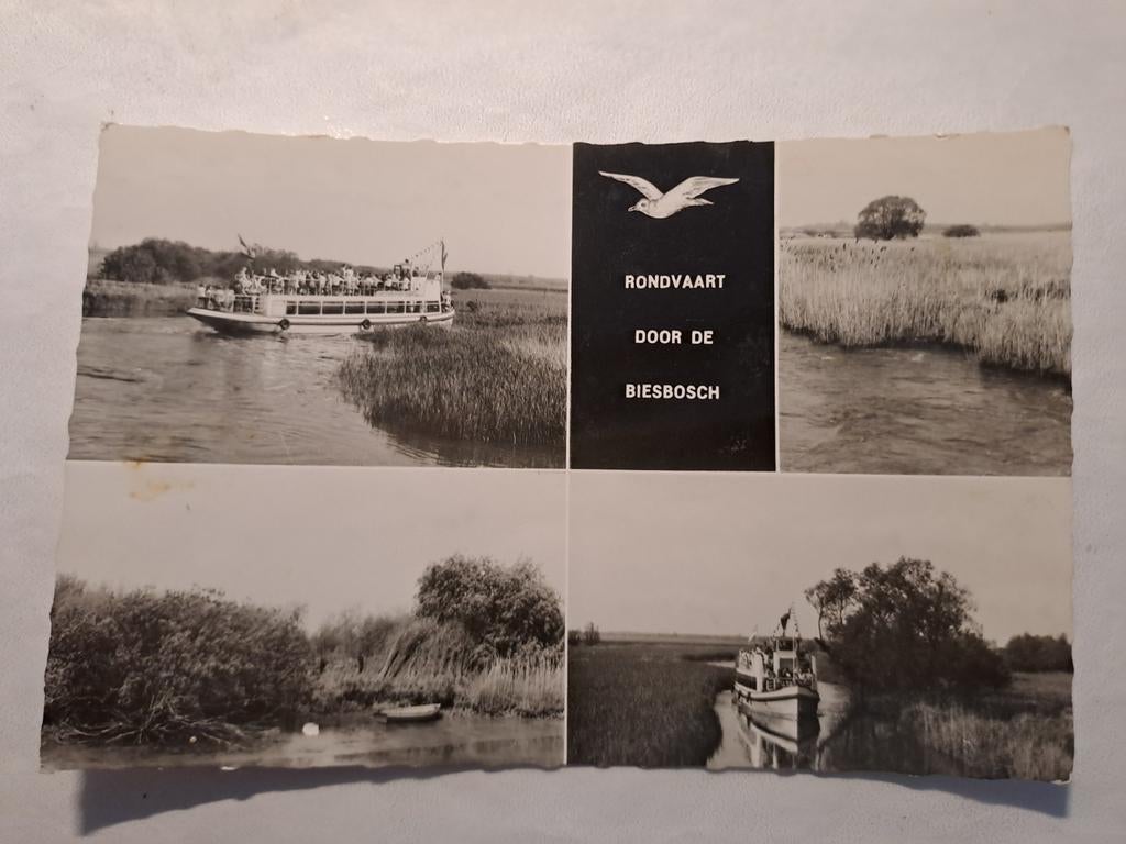 Biesbosch, Ophalen of Verzenden