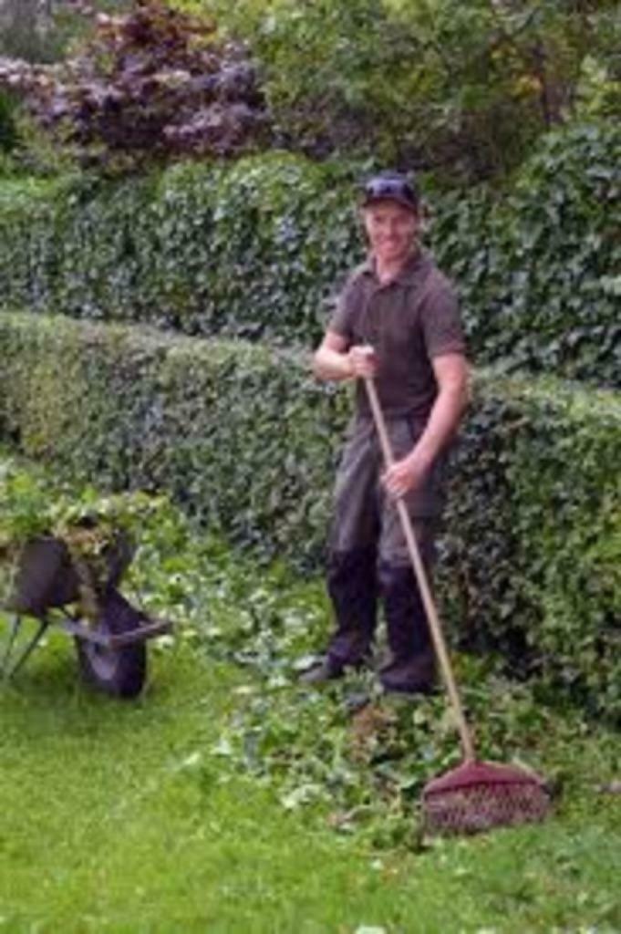 Hoveniersbedrijf Meppelink, Garantie, Tuinonderhoud of Snoeiwerk