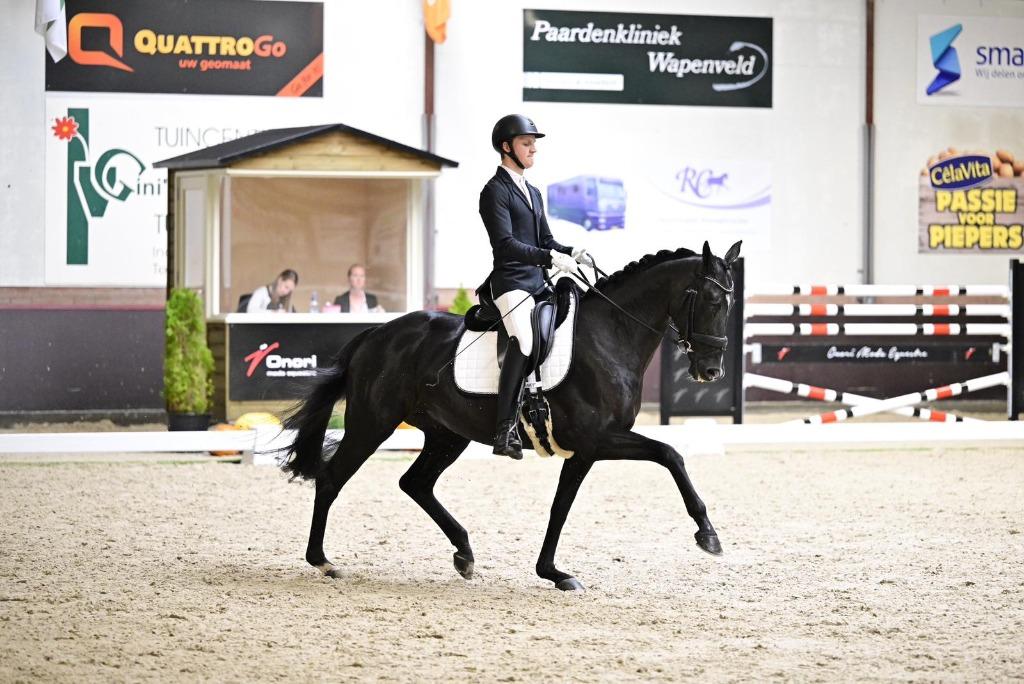 Zadelmak maken van uw paard of pony, Ruiter of Bijrijder