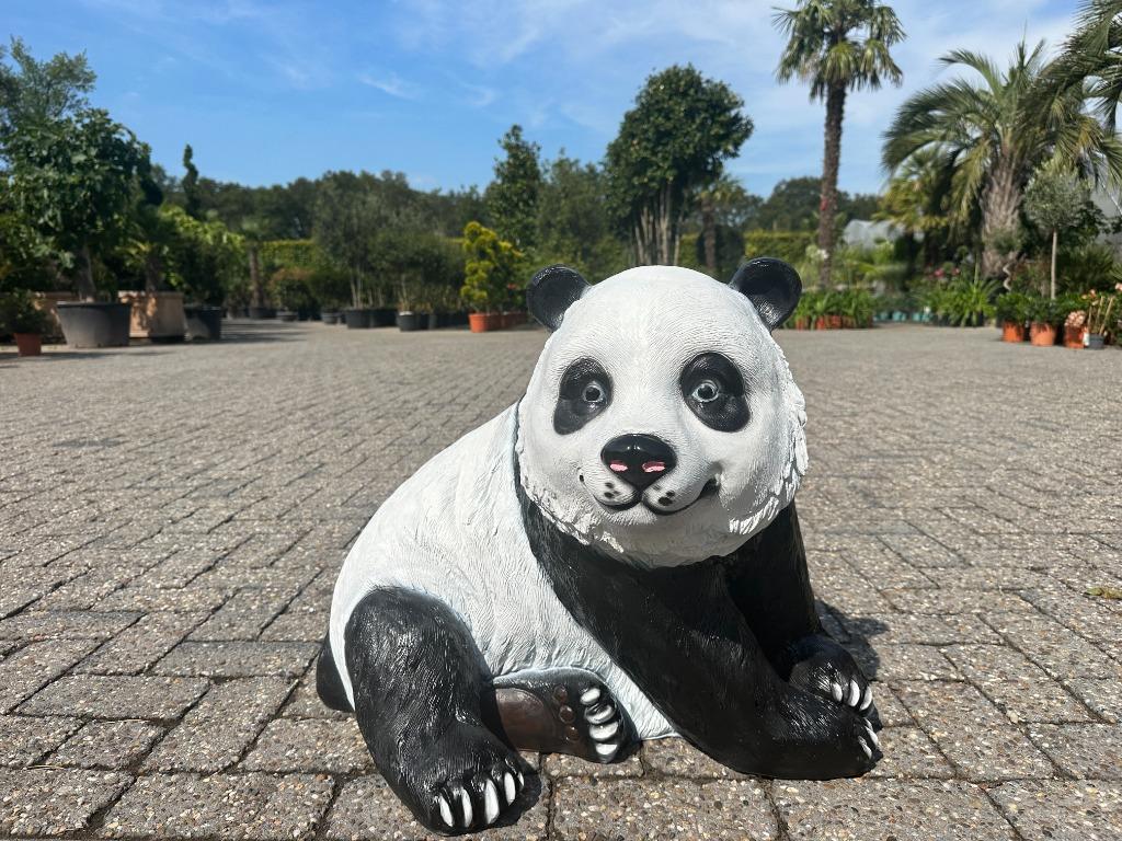 Tuinbeeld Panda zittend. Leuk om tussen de bamboe te zetten.