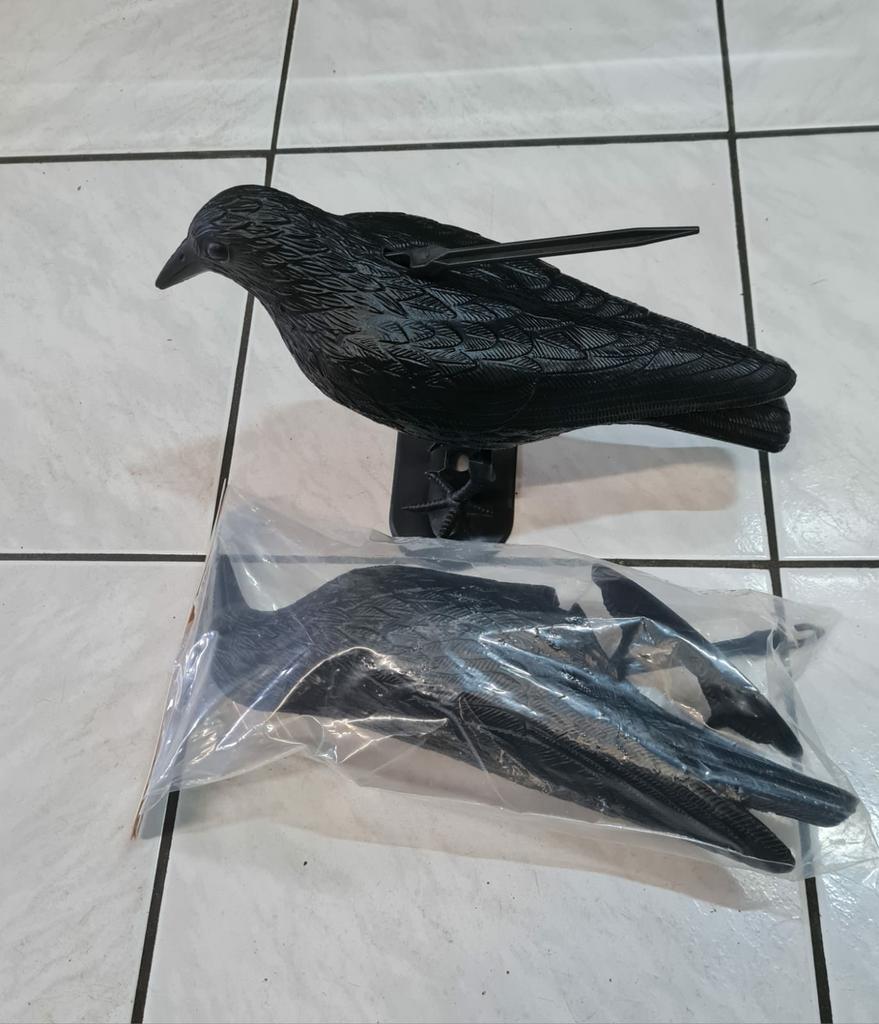 Vogel is nieuw nooit gebruikt zit in de verpakking, Mannelijk