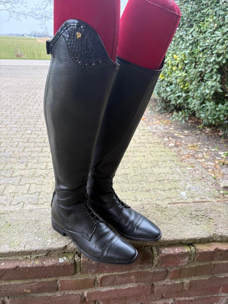 Petrie Luca Black- maat 41, Dieren en Toebehoren, Ophalen of Verzenden, Zo goed als nieuw, Dressuur, Schoeisel