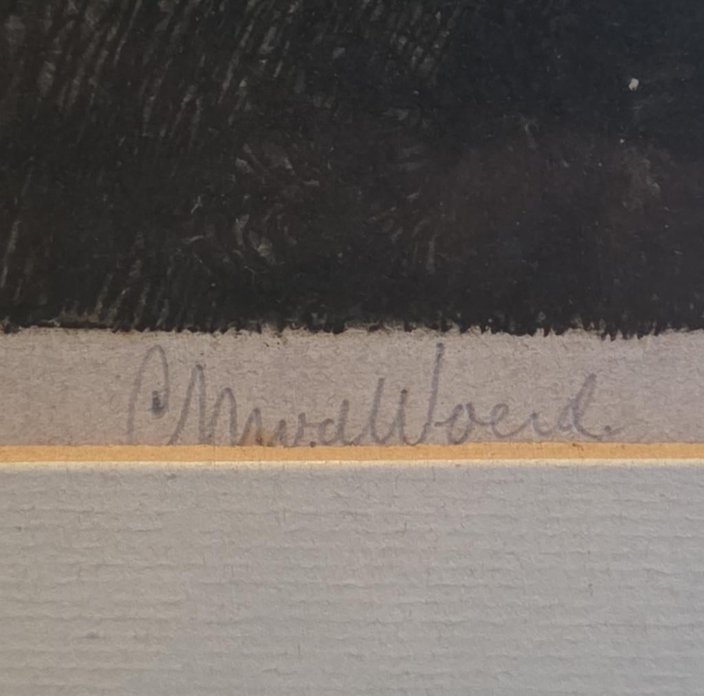Ets C.M. van der Woerd De kruisafneming, Antiek en Kunst, Kunst | Etsen en Gravures, Ophalen