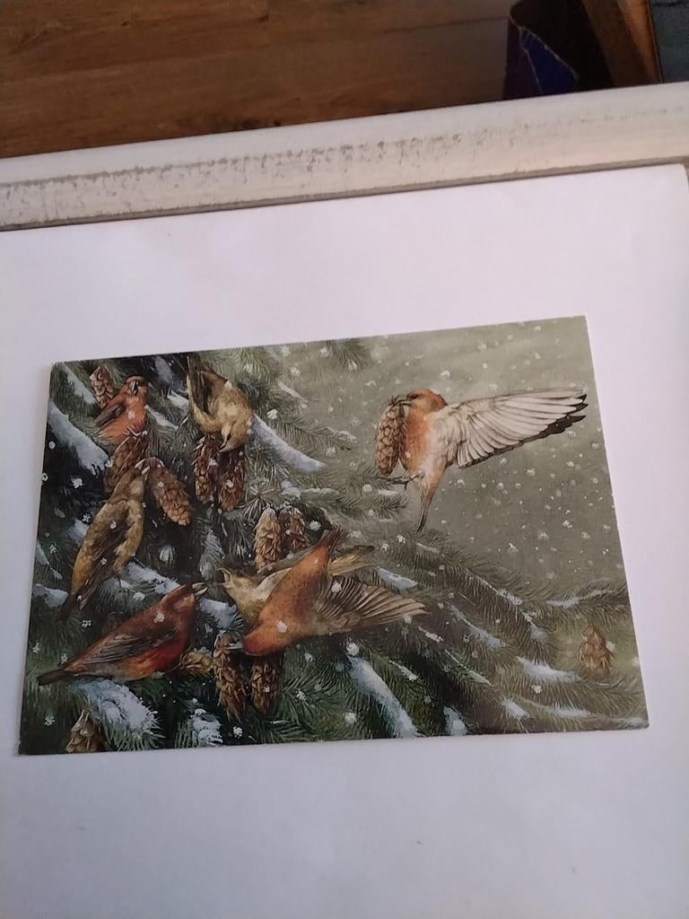 MARJOLEIN BASTIN.  NATUUR. 1992 VOOR HET KIND, Ophalen of Verzenden, 1980 tot heden