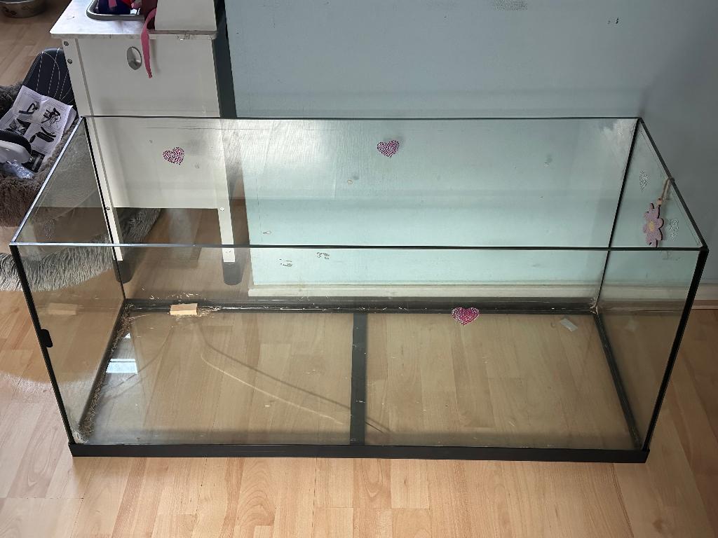 Terrarium, hamster knaagdier hok., Dieren en Toebehoren, Knaagdieren, September, Mannelijk, Overige typen