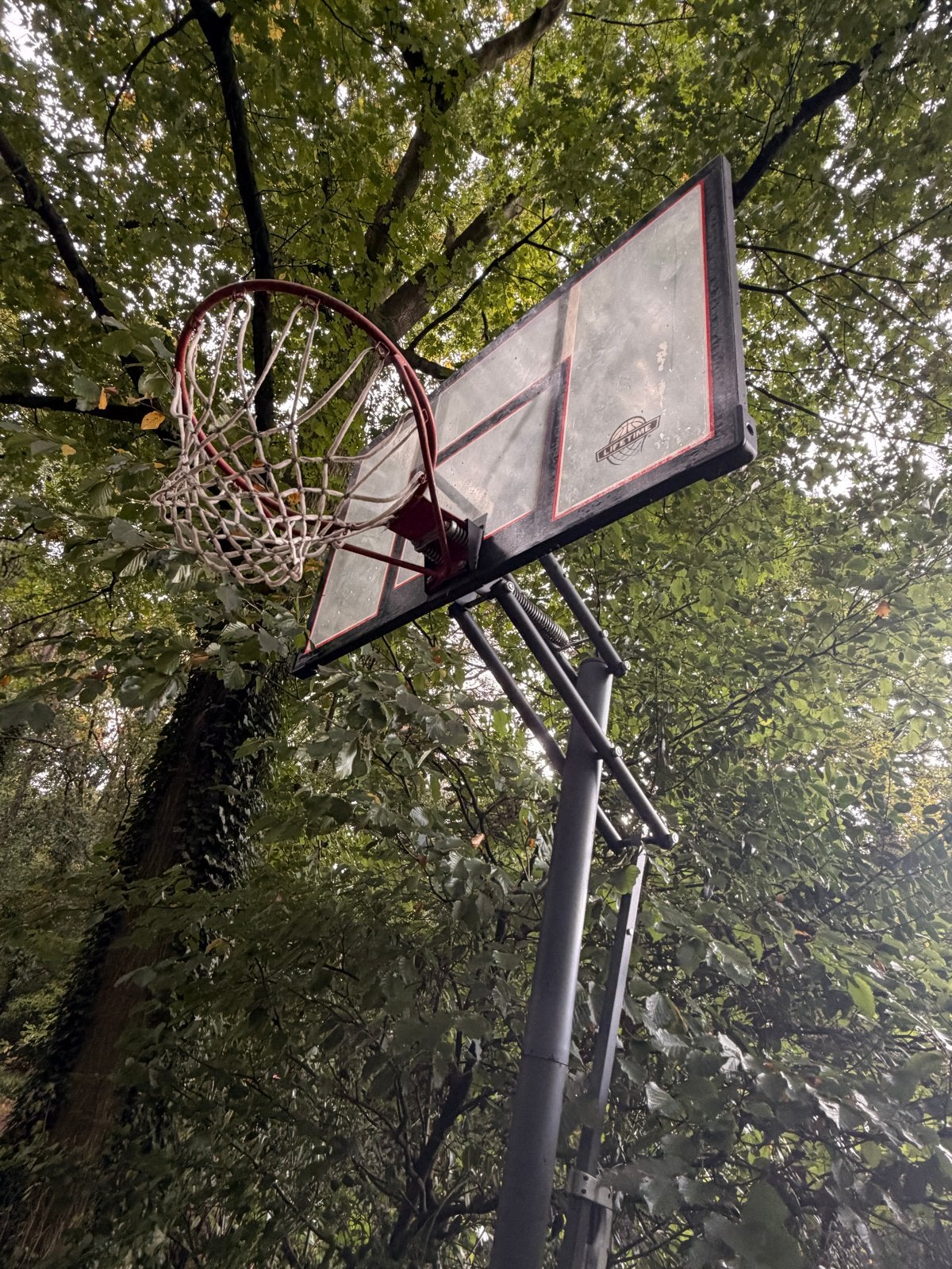 Verstelbare basketbalpaal met bord en ring gratis ophalen, Sport en Fitness, Ophalen, Gebruikt, Ring, Bord of Paal