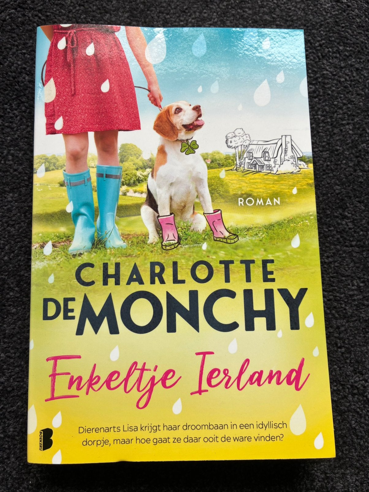 Charlotte de monchy - enkeltje ierland, Ophalen of Verzenden, Zo goed als nieuw