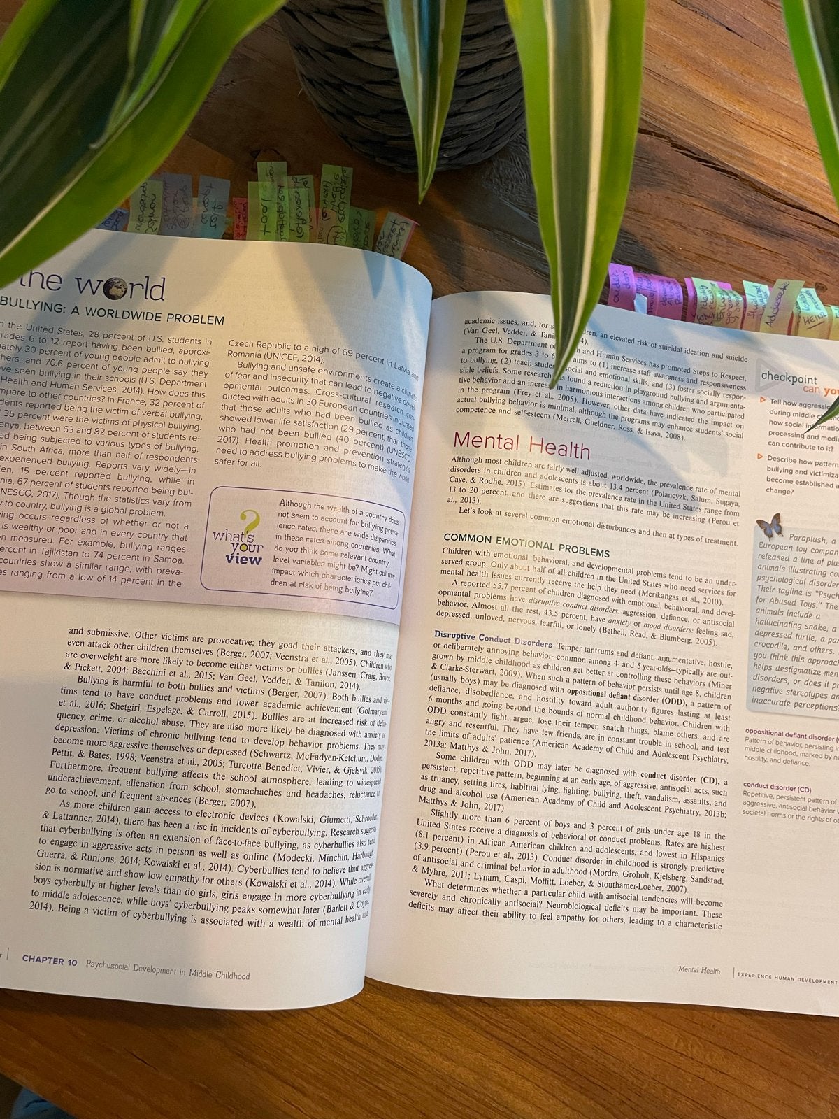 Experience Human Development 14e - Diane E. Papalia, Boeken, Ophalen of Verzenden, Gamma, Zo goed als nieuw, HBO