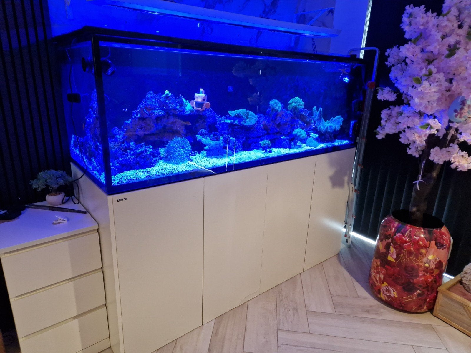 red sea 950 g2 met vissen en koraal en extra, Dieren en Toebehoren, Vissen | Aquaria en Toebehoren, Ophalen, Red Sea, Gevuld zeewateraquarium