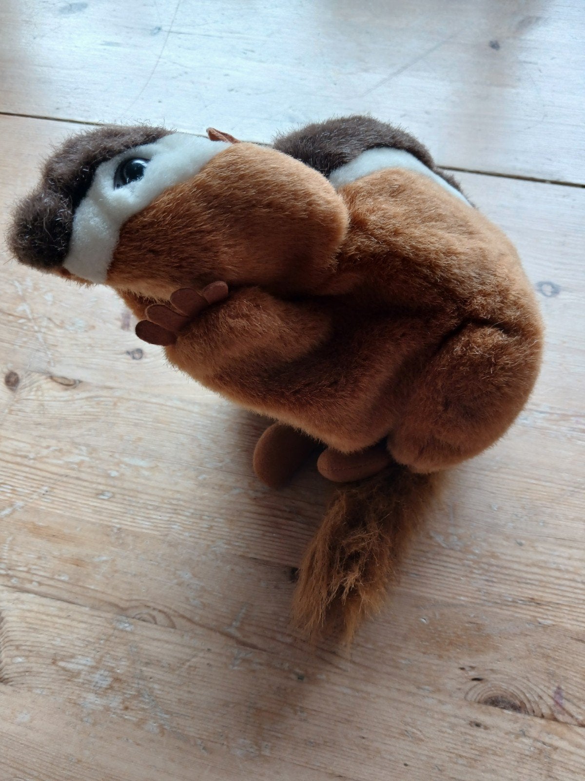 Handpop bever, Ophalen of Verzenden, Zo goed als nieuw, Overige typen