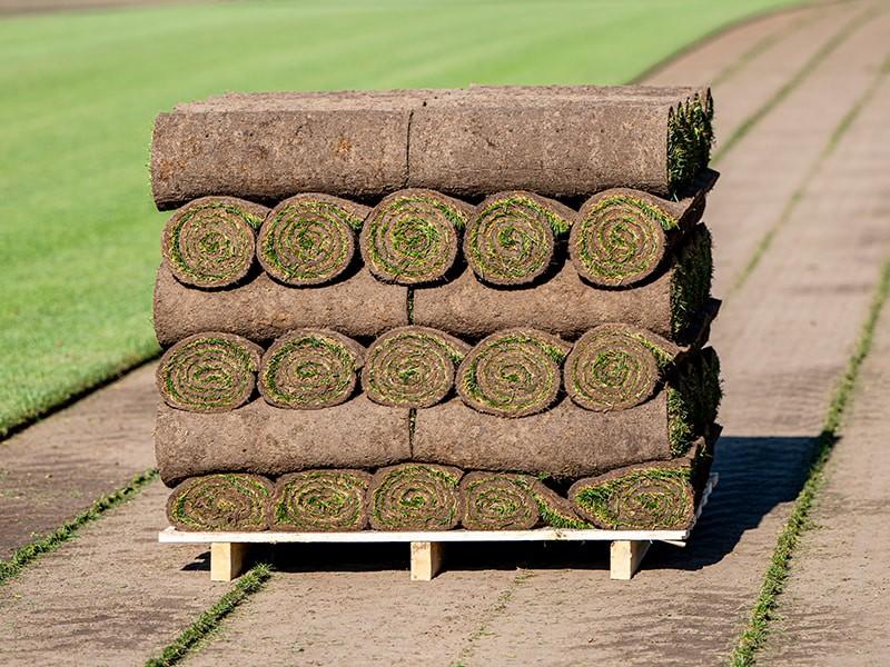 Gratis afhalen: 4 rollen graszoden, Ophalen of Verzenden, Nieuw, Minder dan 10 m²