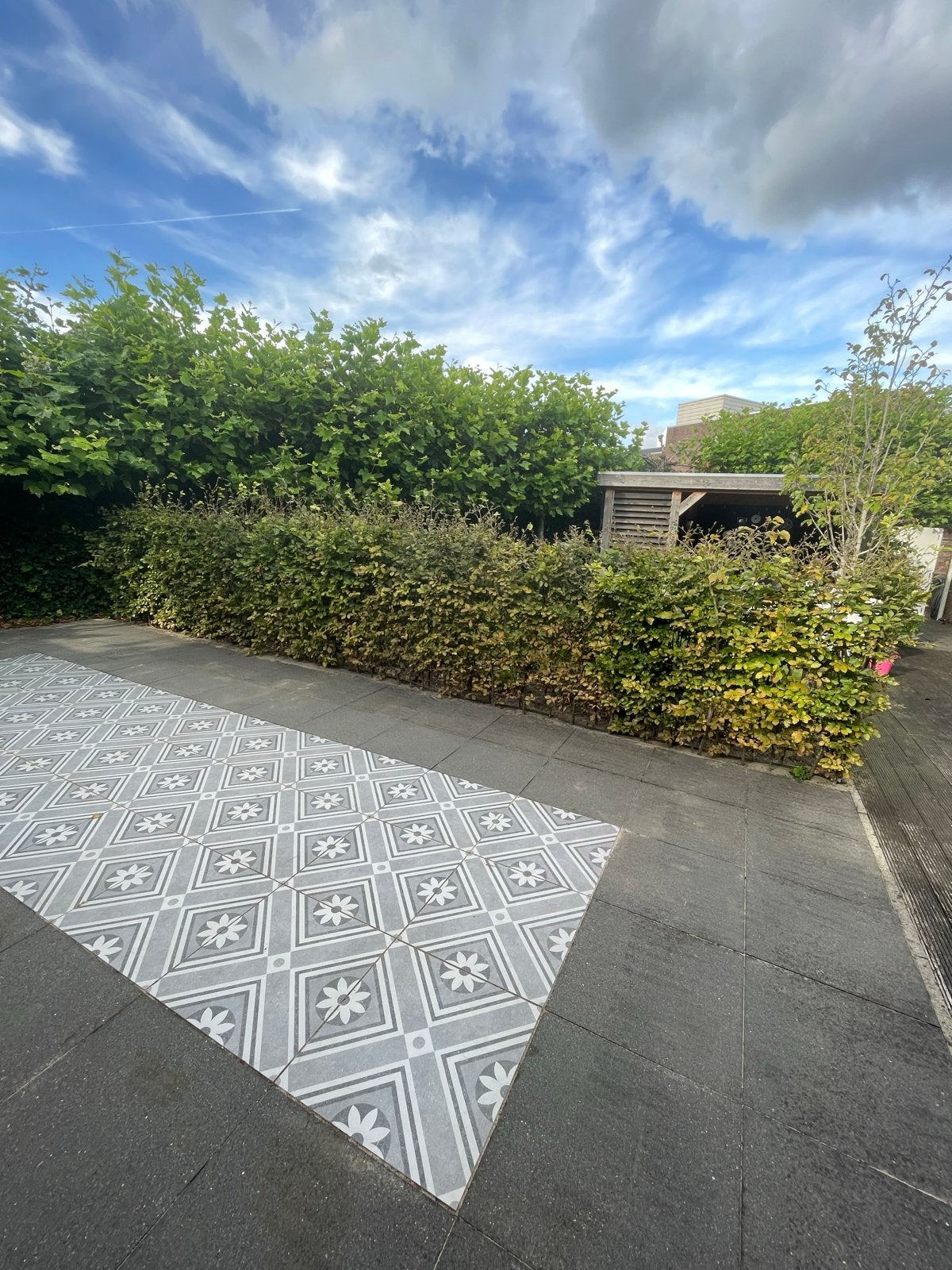 Beukenhaag 150 cm hoog, 8 meter lang (71 planten), Vaste plant, Bloeit niet, Halfschaduw, Ophalen