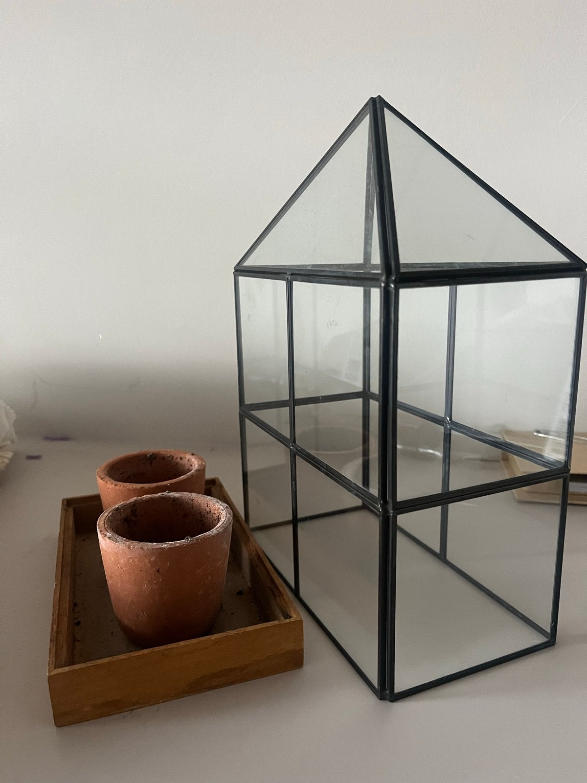 Glazen plantenkasje voor 2 miniplantjes - Zo goed als nieuw, Ophalen, Zo goed als nieuw, Overige typen