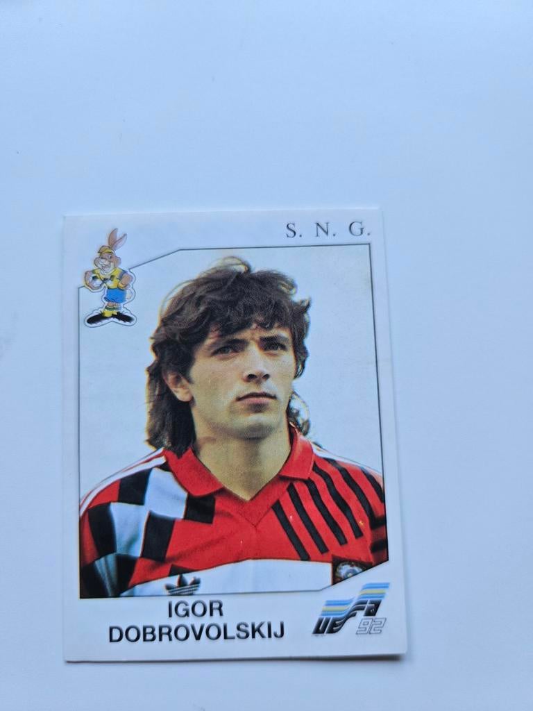 Panini euro 92, Ophalen of Verzenden, Zo goed als nieuw, Buitenlandse clubs, Poster, Plaatje of Sticker