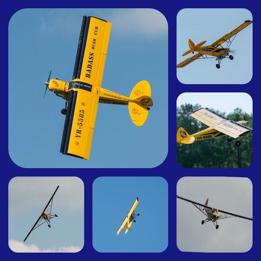 shock Cub (seagull) 2.60 m. xxl  bush Cub plane !, Hobby en Vrije tijd, Modelbouw | Radiografisch | Vliegtuigen, Ophalen, Gebruikt