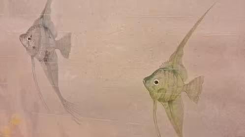 Antieke prent A Petri 39, Antiek en Kunst, Ophalen of Verzenden