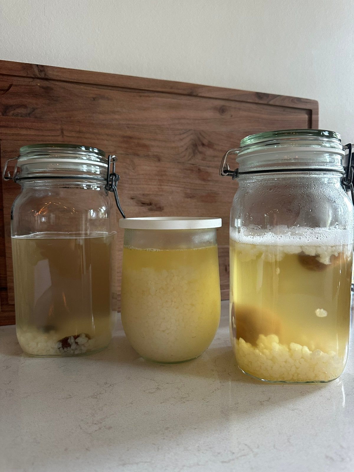 Water kefir korrels, Ophalen