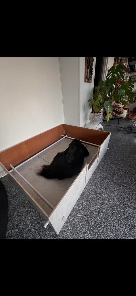 Werpkust grote middel groot hond betonplex, Ophalen of Verzenden, Zo goed als nieuw, 110 cm of meer, 65 tot 100 cm