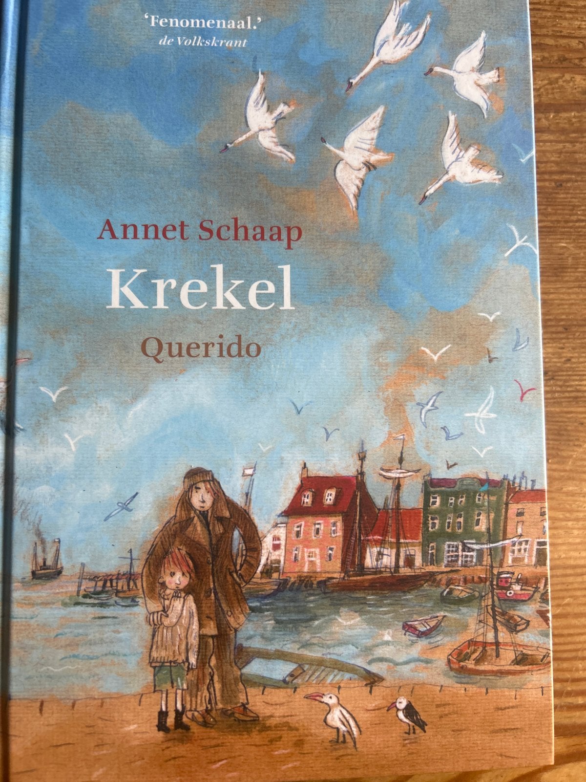 KREKEL - Annet Schaap (Querido), Boeken, Literatuur, Zo goed als nieuw, Nederland, Ophalen of Verzenden