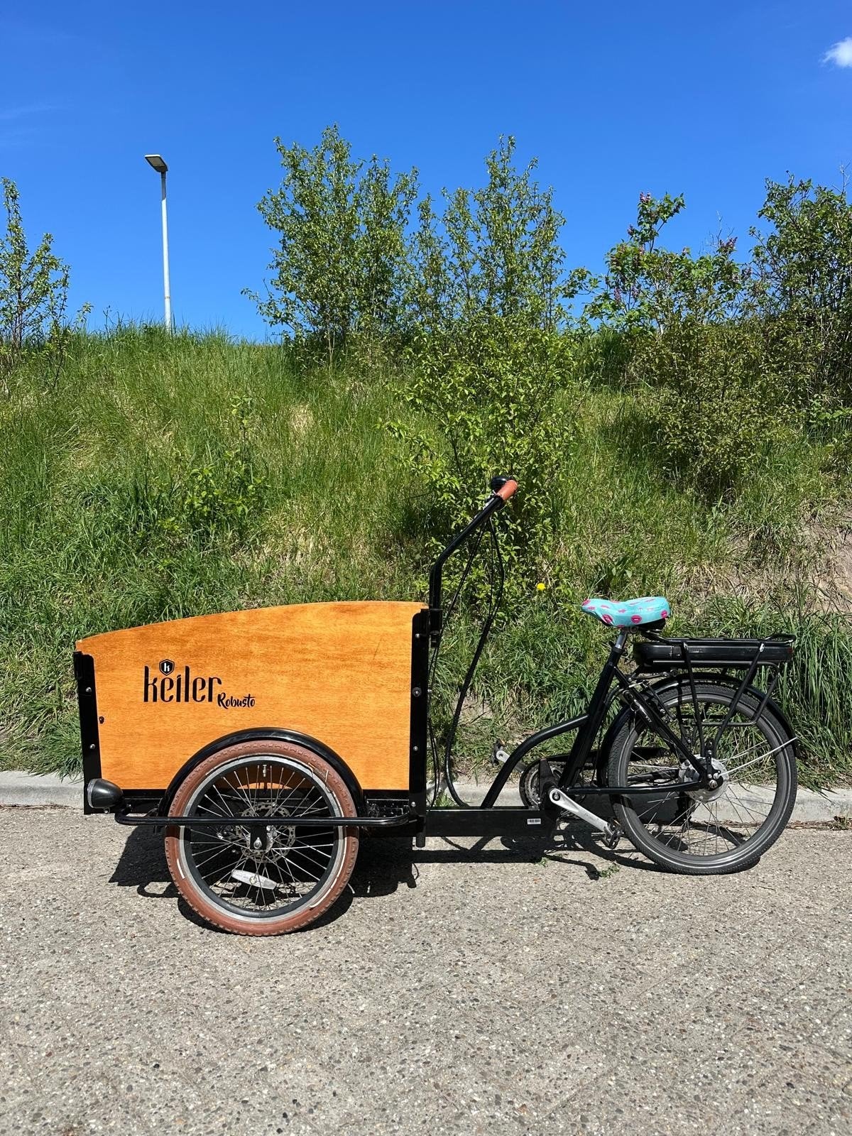Elektrische bakfiets, Fietsen en Brommers, 4 kinderen of meer, Gebruikt, Huif, Schijfrem